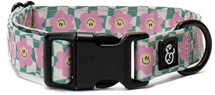 Lucy & Co. Making Rainbows, Cute Reversible Dog Harness Walking Halter - Best Designer Pet Harnesses for XS - XL Dogs - Padded Adjustable Vest for Easy Walking (Large)