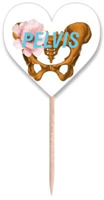 Zahnstocher, Motiv: Beckenblüten, Art-Deco, modische Zahnstocher, Flaggen, Herz-Etikett, Cupcake-Picks