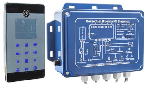 WESLNN IPX5 Wasserdichter, An Der Wand Montierter Bluetooth-Nassdampfbad-Sauna-Whirlpool-Generator 2,8 KW Mit Duschsteuerung