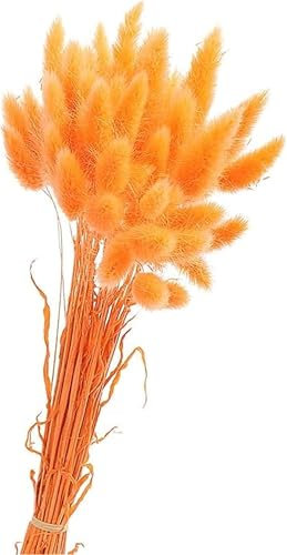 Pampasgras Trockenblumen 50 Stück Elegantes Pampasgras Deko Natürlich Blumenstrauß Flauschiges Getrocknete Blumen Herbst Boho Deko für Hochzeit Büro Schlafzimmer Wohnzimme (Orange)