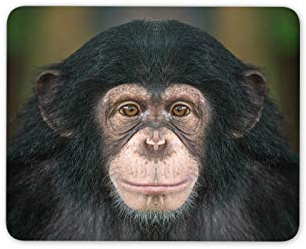Destination Vinyl Ltd Chimpanzee Portrait Mouse Mat Pad - Ape Monkey Dad Son Fun Computer #14240