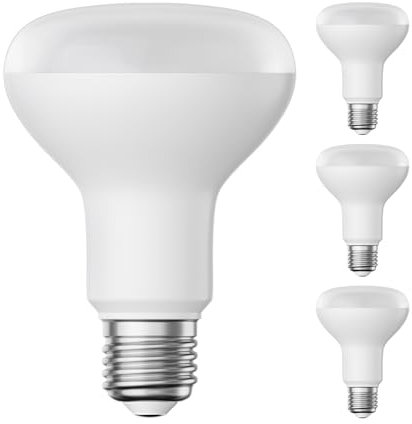 ledscom.de 4 Stück E27 LED Leuchtmittel, R80, warmweiß (2700 K), 10 W, 935lm, matt