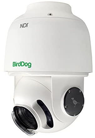 BirdDog Eyes A200 PTZ Kamera in Weiß Gen 2 IP67 Wetterbeständig Full NDI