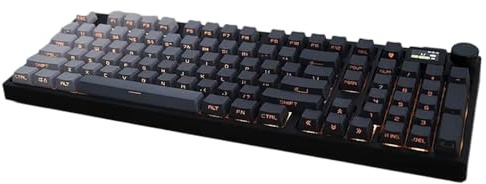 Clavier de jeu RVB RT DKS Snap Tap personnalisable à échange à chaud avec interrupteur magnétique à trois modes et écran TFT Compatible avec la compatibilité avec les ordinateurs portables(OEM Black B