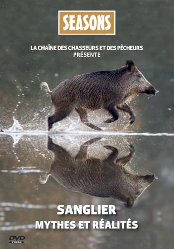 Sanglier mythes et réalités [FR Import]