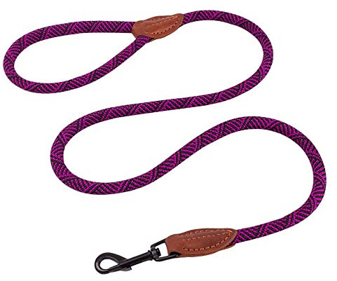 AllPetSolutions Rope Dog Lead - Heavy Duty Walking, Running, Outdoor Training Lead for Dogs - Anti-Tangle Leash with 360 Hook, Strong Clip, Easy Grip Loop Handle - Purple/Black, Braided Nylon, 120cm