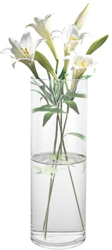 ZOFUN 30cm Glasvase Gross Klar Glasvase Zylinder Runde, Blumenvase Glas Vasen Vase Groß für Orchideen, Rosen, Tulpen, Pampasgras, Tischdeko, Kerze etc