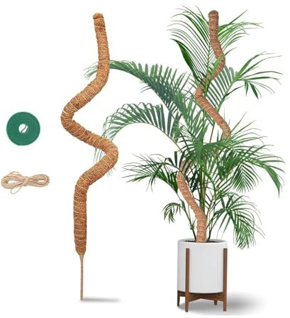 Tuteur Monstera – Tuteur Plante Grimpante – Tuteur Coco Flexible – Tuteur Plante avec Corde de Jute et Fermeture Autoagrippante – Convient à Croissance de Monstera – 120 cm / 2×60 cm – Envoi aléatoire