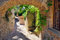 Papier Peint Italie 3D Auto Adhesif Panoramique Mural Rue du Jardin Papier Peint en Soie Poster Trompe L'oeil Décoration Murale Salon Chambre 200x140 cm A-3146