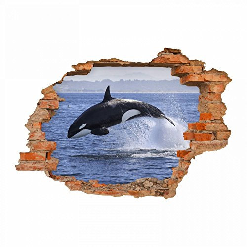 nikima - 102 Wandtattoo Orca Killerwal Schwertwal - Loch in der Wand - in 6 Größen - wunderschöne Kinderzimmer Sticker und Aufkleber Coole Wanddeko Wandbild Junge Mädchen Größe 1750 x 1210 mm