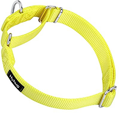 Hyhug Martingal Hundehalsband mit Schnalle: Ausbruchsicher, rutschfestes Robustes Polyester, farbechtes verstellbares Haustierzubehör für große Hunderassen (groß, leuchtendes Gelb)