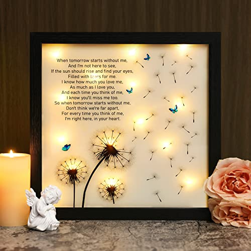 Memorial Gifts LED Shadow Box Sympathy Gift Condolences Grief Dandelion