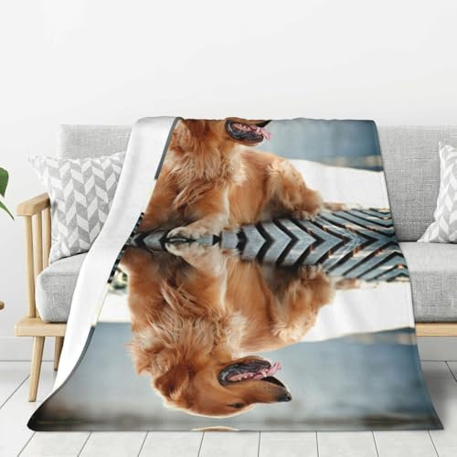 Dnbclezk Golden Retriever Gewichtsdecke für Hunde, weiche Flanelldecke, personalisierter Druck, Überwurf, Sofadecke, Bettdecke, passend für alle Jahreszeiten