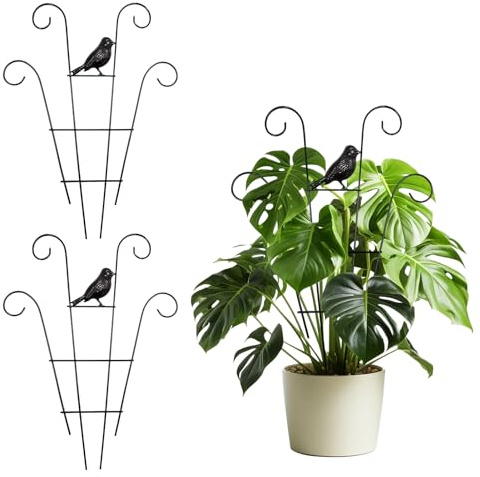 Rankgitter Metall, 2 Stück Rankhilfe Zimmerpflanzen Rankgitter für Kletterpflanzen Pflanzenstütze Metall Pflanzen Rankhilfe Rankhilfe für Kletterpflanzen Gartenspalier für Tomaten Blumen, 30*40cm (B)