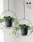 ABETREE VDYXEW Hängende Pflanzgefäße für Innen- und Außenpflanzen mit Haken aus Metall, moderner Wand- und Deckenpflanzer, minimalistischer Blumentopf, Hänger für Heimdekoration, schwarz (2 Stück)