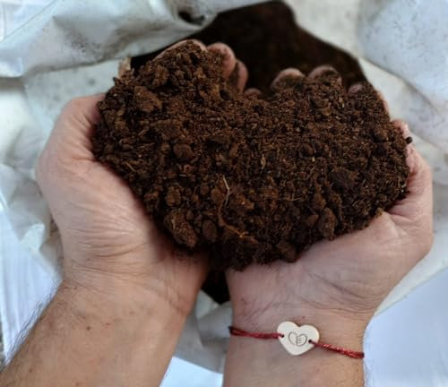 MEDIBIO Torba Bionda di Sfagno PURA, Substrato Organico Super Fertilizzante, OTTIMO Ammendante Acidificante per Orticole Azalee Carnivore Piante Fiori (6 Litri, 1)