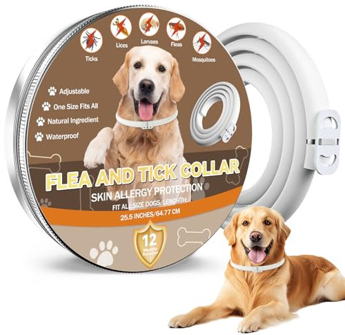 Collare Antiparassitario Per Cani, Collare Antipulci e Zecche, Adatto a Cani di Tutte Le Taglie, Formula Naturale Sicura e Materiale Impermeabile, Durata 12 Mesi (1 pack)