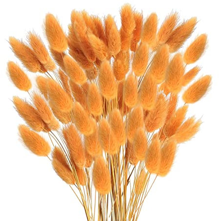 Jufjsfy 60 Stück Trocken Kaninchen Schwänze Getrocknete Lagurus Ovatus Kaninchen Schwanz Gras für Trocken (Orange)