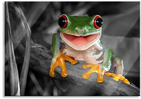 Pixxprint Glasbild, Wandbild aus Echtglas, Lachender Frosch mit roten Augen auf Ast B&W Detail, 100x70 cm, inkl. Aufhängung und Abstandshalter
