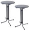 TRUTZHOLM 2X Stehtisch klappbar Ø 70 cm in Anthrazit Höhe 110 cm aus Stahl Gastrotisch Partytisch Bistrotisch Gartentisch Indoor & Outdoor für Hochzeiten und Gartenfeste wetterbeständig pflegeleicht