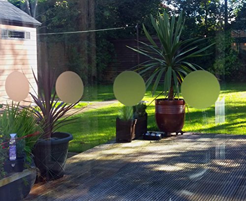 WW Designs 27 METERS OF FROSTED GLASS EFFECT WINDOW DOTS MANIFESTATIONS
