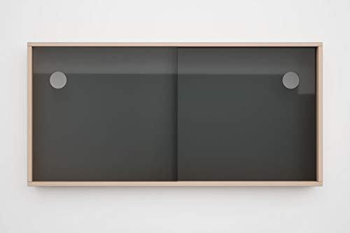 Schiebetür für Kallax Regal Acrylglastüren Glasvitrine Glastür Laufschiene mit Holzrahmen für Bücher Deko Sammelstücke (Anthrazit)
