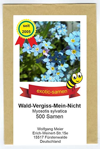 Wald-Vergiss-Mein-Nicht - Myosotis sylvatica - Bienenweide - 500 Samen