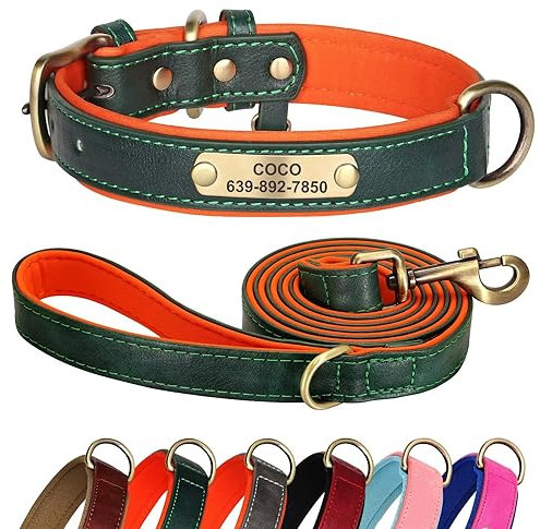 Didog Personalisiertes Lederhalsband und Leine, Set für kleine, mittelgroße und große Hunde, 1,5 m weich gepolsterte Leine, strapazierfähig, mit graviertem Namensschild, Grün, Größe L