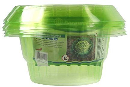 Floraworld grün Schneckenschutzring 6er Set aus Kunststoff transparent, schützt ihre Setzlinge und Jungpflanzen vor Schneckenfraß, Schneckenabwehr Ø 19-13 cm, Höhe 12,5 cm, 012561