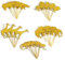 30 Pcs Gold Glitter Jungle Safari Animal Cupcake Toppers for Baby Showers Birthday Party Cake Decorations