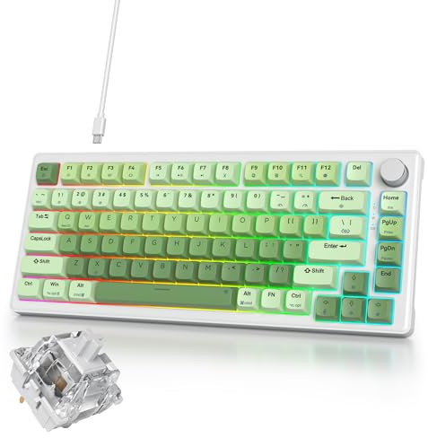 iRoboosta Clavier mécanique vert crème à 75 %, clavier de jeu RVB remplaçable à chaud avec bouton, clavier TKL filaire à montage sur joint, clavier TKL 75 %, clavier blanc pré-lubrifié au son crémeux