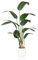 hjh OFFICE Plante Artificielle Oiseau de Paradis 150cm Grand Strelitzia Palmier Tropical Artificiel en Pot Blanc, Plante décorative pour l'intérieur