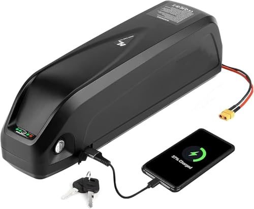 E-Bike Fahrrad Pedelec Akku 48V 8Ah 13Ah 15AH 20AH,Ebike Batterie 48V 8Ah 13Ah 15AH 20AH eingebauter BMS mit Ladegerät für 250W 350W 500W 750W 1000W 2000W Motor