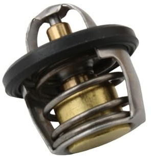 Fly100 Termostato Acqua for Carnaby Hexagon GTX MP3 X7 X8 X9 125 150 200 250 300 82831R 82831R5