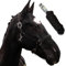 Halfter für Pferde mit Strick | Führstrick Pferd Halfter | Halfter Pony, Vollblut, Full, X-Full mit Strick (Schwarz, Cob (Vollblut))