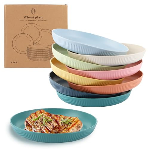 LDHHYH Lot de 8 assiettes de camping en plastique de 23 cm - 8 couleurs - Réutilisables - Pour salade, pâtes, fête à la maison