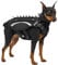 OneTigris STEGOSAUR Taktische Hundegeschirr mit Nieten, Schützendes Hundegeschirr mit Abnehmbarem Halsband, Dog Harness with Spike für Kleine/Mittelgroße Hunde Outdoor(XS)