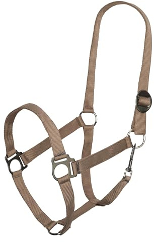 Imperial Riding Halfter Economic, Robustes 25 mm Nylonhalfter verstellbare Schiebeschnalle, Karabiner-Kehlriemen, langlebig & pflegeleicht, für Training, Stall & Alltag, Cappuccino, Cob