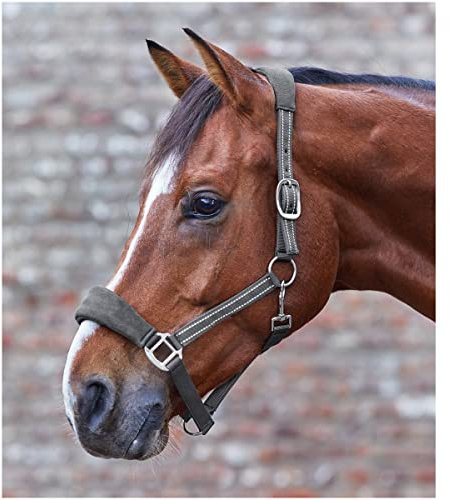 WALDHAUSEN Halfter Alcantara