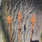 3er-Set dekorative Rankstäbe Rankhilfe verzierte Spitze Eisen Rost 115