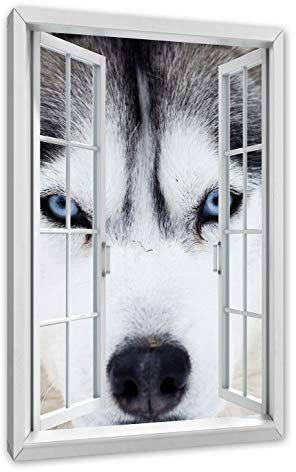 Pixxprint Husky, Fenster, Größe: 60x40cm, Leinwandbild, fertig gespannt, Wandbild, Dekoration, Kunstdruck, kein Poster