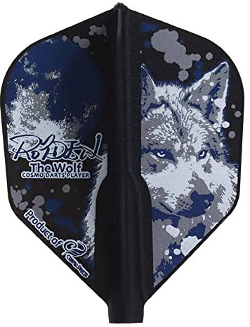 COSMO DARTS Fit Flight – Royden Lam 4 – Form
