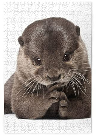 Niedliche Otter-Puzzles sind geeignet für Erwachsene und Jungen und Mädchen. 1000-teiliges Puzzle
