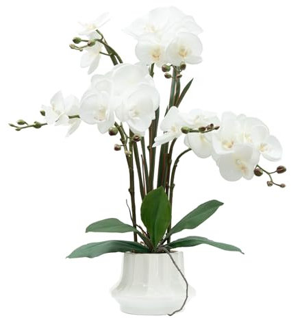 CXGS Artificial Orchid Flower Plant 20.9'' Real Touch Faux Orchids in Ceramic Vase White Fake Phalaenopsis Flower Arrangement Silk Orchids with Stems for Centerpiece Table Home Indoor Decor