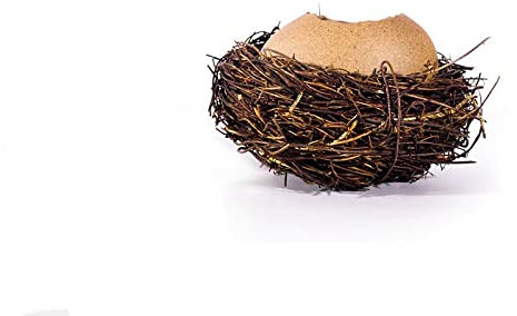 WABI-sabi Vajilla Pájaros Huevo Cáscara Nido Postre Sopa Tazón Helado Plato Cerámica Plantas Florero Olla Novedad Regalo Decoración del hogar,Tipo A,Pequeño,Nido