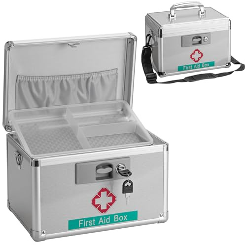 GODLONSEN Medikamenten-Schließfach, 28.4 x 19 x 19 cm Mittel, Schließfach für Medikamente, Medikamentenschloss mit Schlüssel, Aufbewahrungsbox, Silber