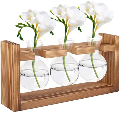 LDXDRU Reagenzgläser mit Ständer, Vintage Deko Glasvase Blumenvase Kleine, Tischdeko Reagenzgläser Holz für Blumen, Glas Pflanzer für Tischdeko, Deko Wohnzimmer