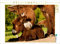 CALVENDO Puzzle Harmonie zwischen Esel Stute und Fohlen 1000 Teile Lege-Größe 64 x 48 cm Foto-Puzzle Bild von Meike Bölts Bölts, Meike