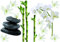 Décoration adhésive Bambous/Orchidées et Galets, Polyvinyle, Multicolore, 21 x 0,1 x 29,6 cm 157170