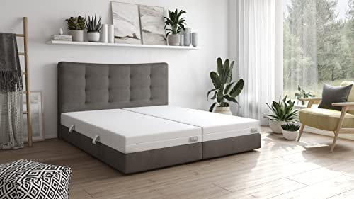 Traumnacht Basic 2 in 1 Duo - orthopädische 7- Zonen Kaltschaummatratze, Härtegrad 2 und 3, Öko-Tex zertifiziert 120 x 200 cm, Höhe 12 cm, produziert nach deutschem Qualitätsstandard